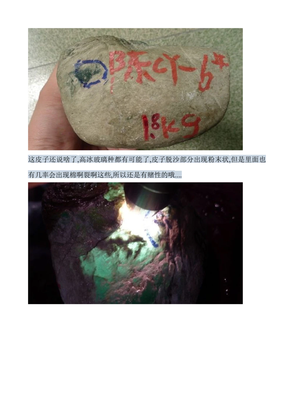 hgl20新手教学贴_X018-玉石珠宝鉴定教程最新合集_8、玉石翡翠鉴定与投资电子资料_赌石专题