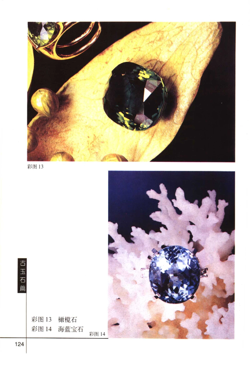 古玩鉴赏百日通古玉石篇__X018-玉石珠宝鉴定教程最新合集_5、玉石鉴定专题全套课程_玉石电子书_玉石电子书