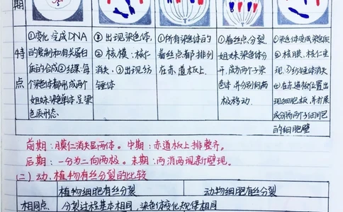 高中生物必修二有丝分裂-减数分裂详细复习笔记，期中考试就可以用上#高中生物#每天学习一点点#手写笔记#图文伙伴计划#抖音图文来了_中小学精品资料(高清可打印)
