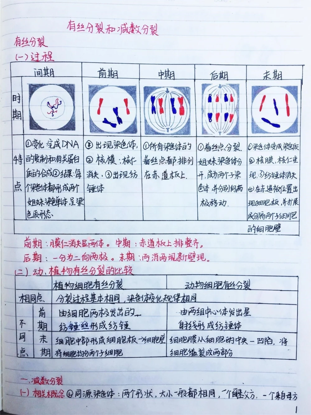 高中生物必修二有丝分裂-减数分裂详细复习笔记，期中考试就可以用上#高中生物#每天学习一点点#手写笔记#图文伙伴计划#抖音图文来了_中小学精品资料(高清可打印)