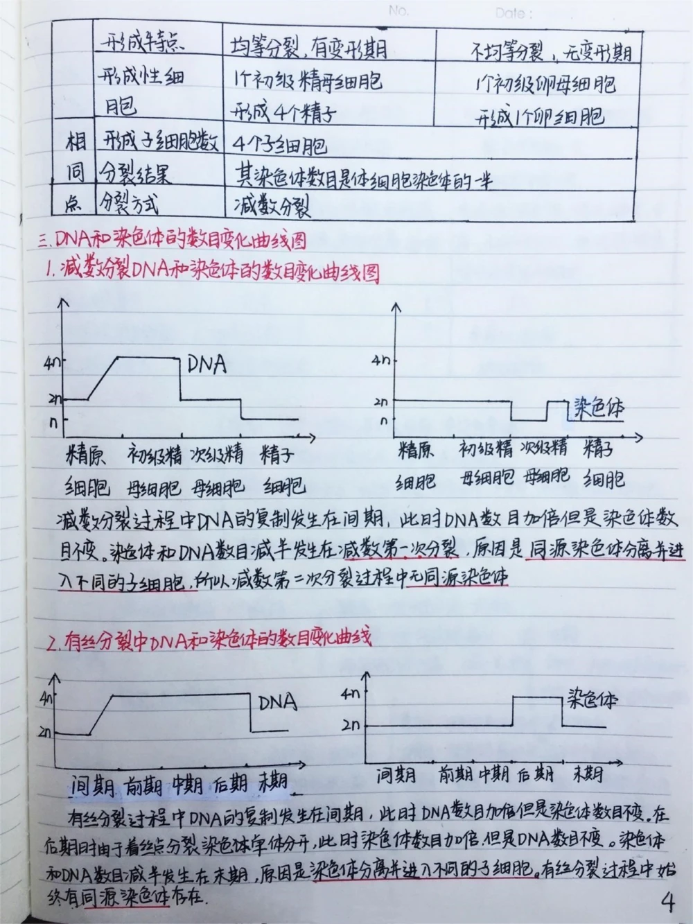 高中生物必修二有丝分裂-减数分裂详细复习笔记，期中考试就可以用上#高中生物#每天学习一点点#手写笔记#图文伙伴计划#抖音图文来了_中小学精品资料(高清可打印)