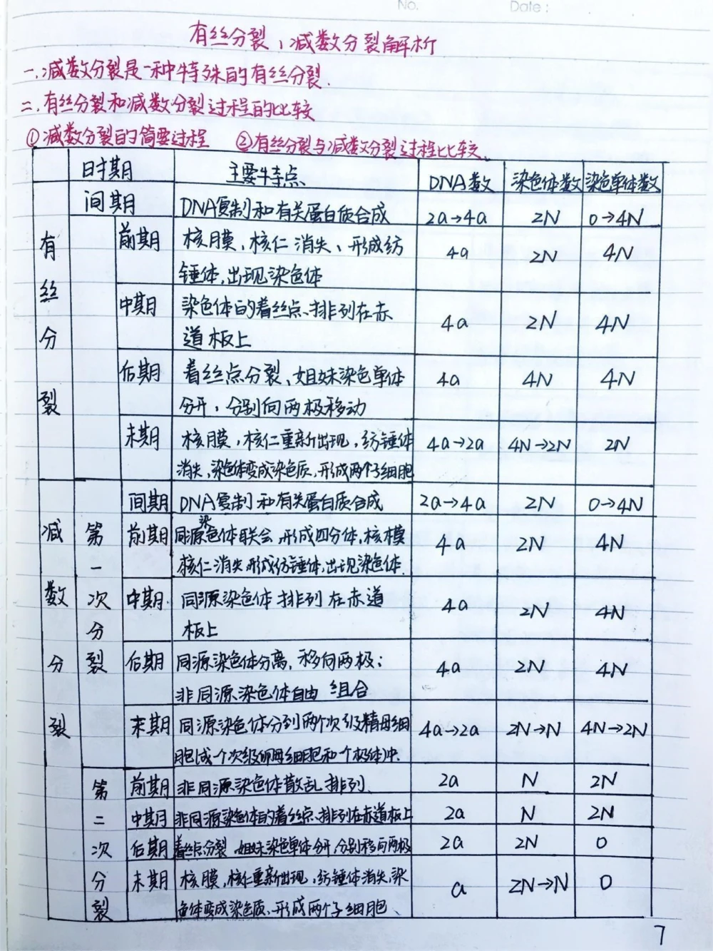 高中生物必修二有丝分裂-减数分裂详细复习笔记，期中考试就可以用上#高中生物#每天学习一点点#手写笔记#图文伙伴计划#抖音图文来了_中小学精品资料(高清可打印)