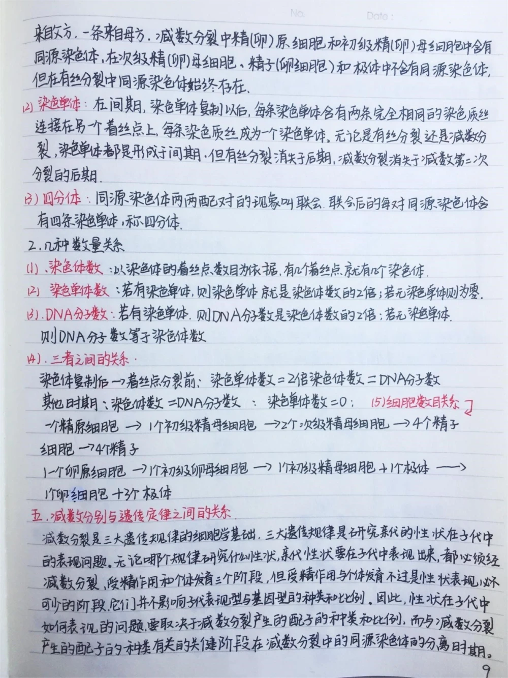 高中生物必修二有丝分裂-减数分裂详细复习笔记，期中考试就可以用上#高中生物#每天学习一点点#手写笔记#图文伙伴计划#抖音图文来了_中小学精品资料(高清可打印)