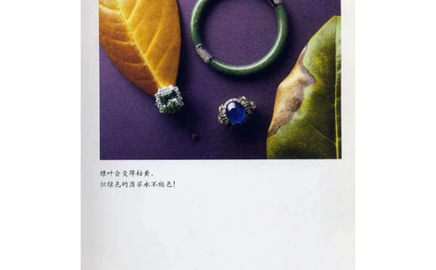 [翡翠鉴赏-珠宝玉石鉴赏珍藏版]1_X018-玉石珠宝鉴定教程最新合集_6、翡翠鉴定专题全套课程_翡翠电子书_翡翠鉴赏_51-60