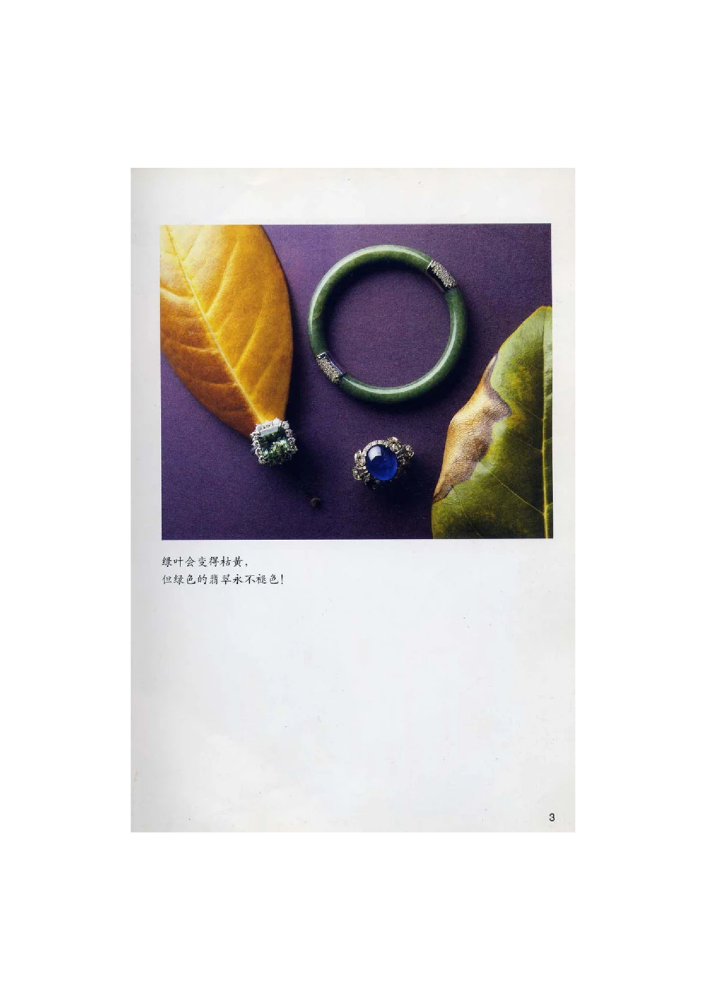 [翡翠鉴赏-珠宝玉石鉴赏珍藏版]1_X018-玉石珠宝鉴定教程最新合集_6、翡翠鉴定专题全套课程_翡翠电子书_翡翠鉴赏_51-60