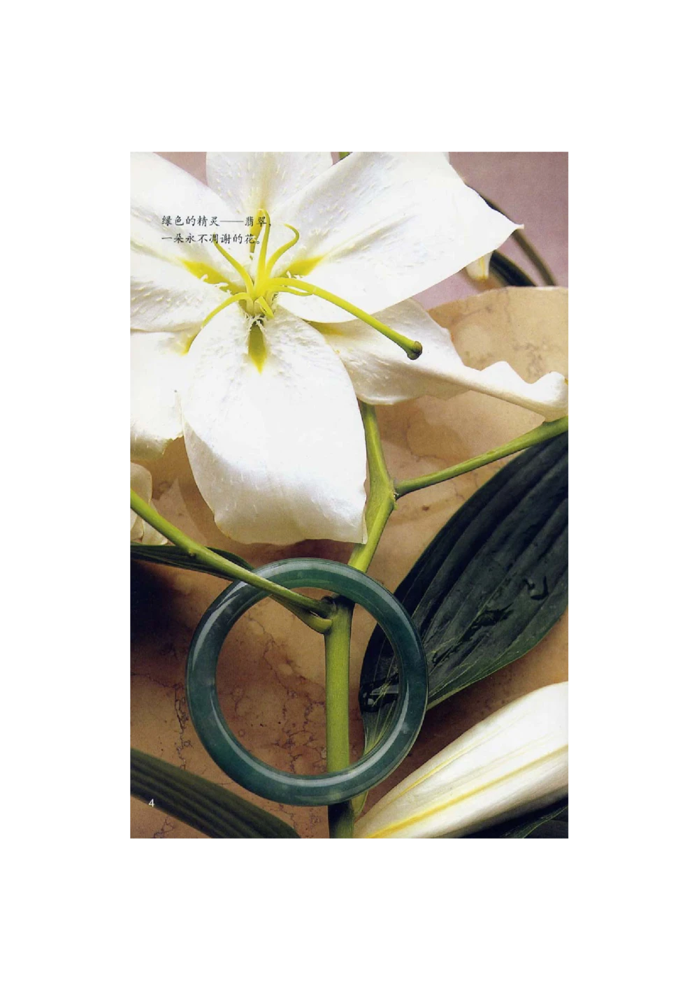 [翡翠鉴赏-珠宝玉石鉴赏珍藏版]1_X018-玉石珠宝鉴定教程最新合集_6、翡翠鉴定专题全套课程_翡翠电子书_翡翠鉴赏_51-60