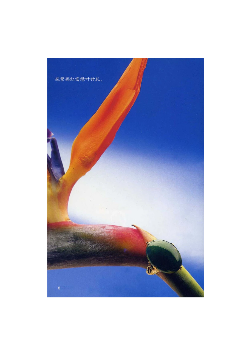 [翡翠鉴赏-珠宝玉石鉴赏珍藏版]1_X018-玉石珠宝鉴定教程最新合集_6、翡翠鉴定专题全套课程_翡翠电子书_翡翠鉴赏_51-60