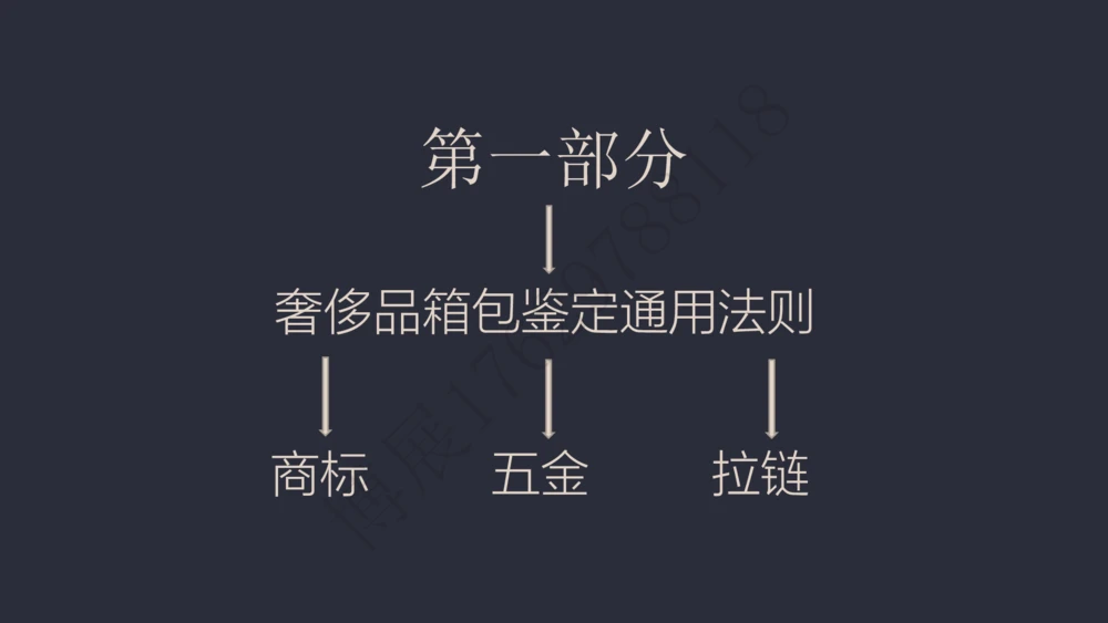 奢侈品名表名包_X017-奢侈品鉴定教程最新合集_4、奢侈品包包鉴定全套课程+资料_箱包鉴定资料