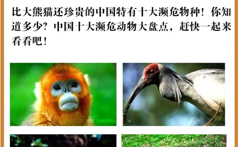 比大熊猫还珍贵的中国特有十大濒危物种！_中小学精品资料(高清可打印)_百科知识大全集312份高清资料整理版