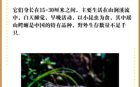 比大熊猫还珍贵的中国特有十大濒危物种！_中小学精品资料(高清可打印)_百科知识大全集312份高清资料整理版