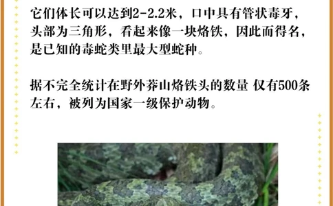 比大熊猫还珍贵的中国特有十大濒危物种！_中小学精品资料(高清可打印)_百科知识大全集312份高清资料整理版