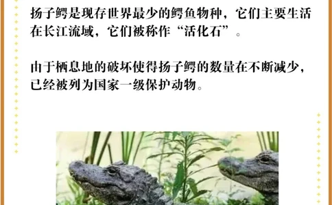 比大熊猫还珍贵的中国特有十大濒危物种！_中小学精品资料(高清可打印)_百科知识大全集312份高清资料整理版