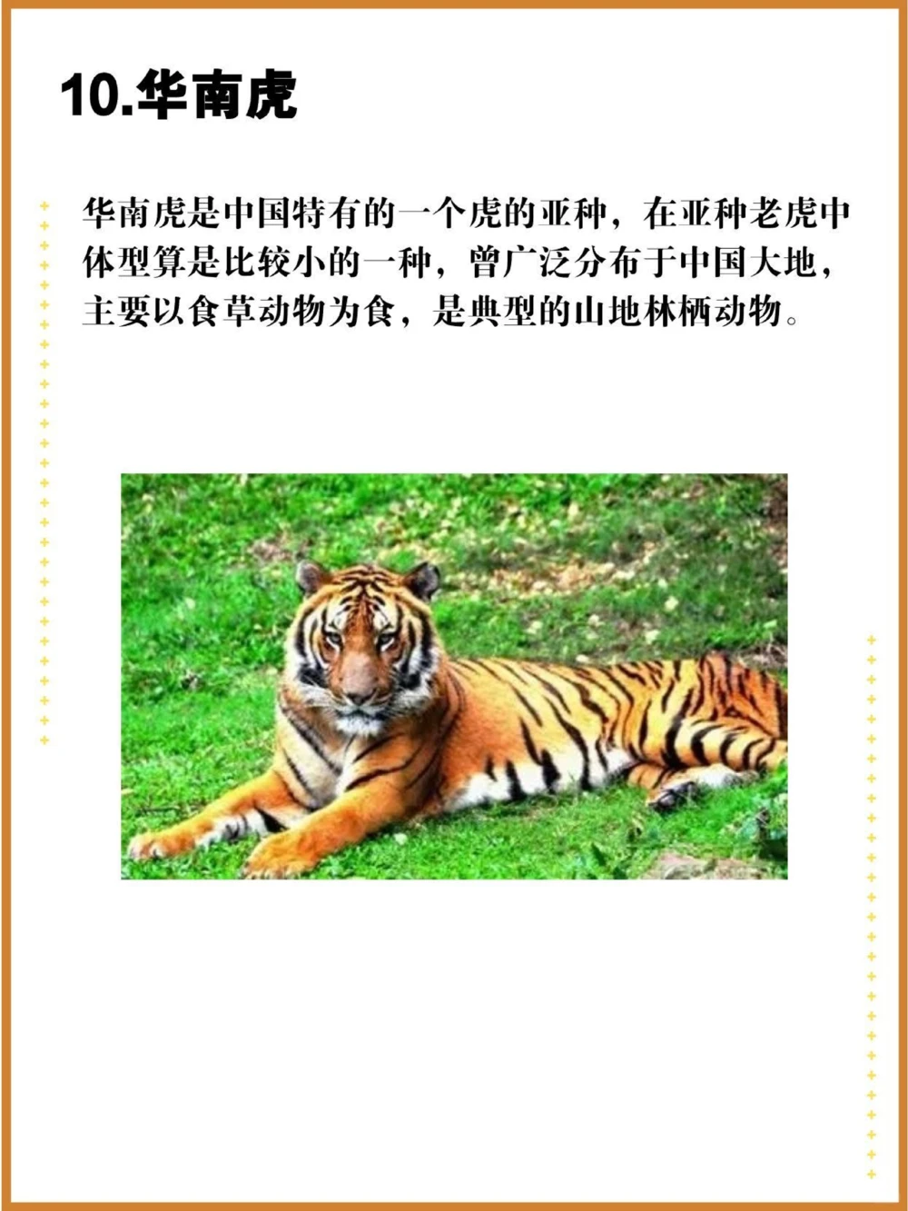 比大熊猫还珍贵的中国特有十大濒危物种！_中小学精品资料(高清可打印)_百科知识大全集312份高清资料整理版