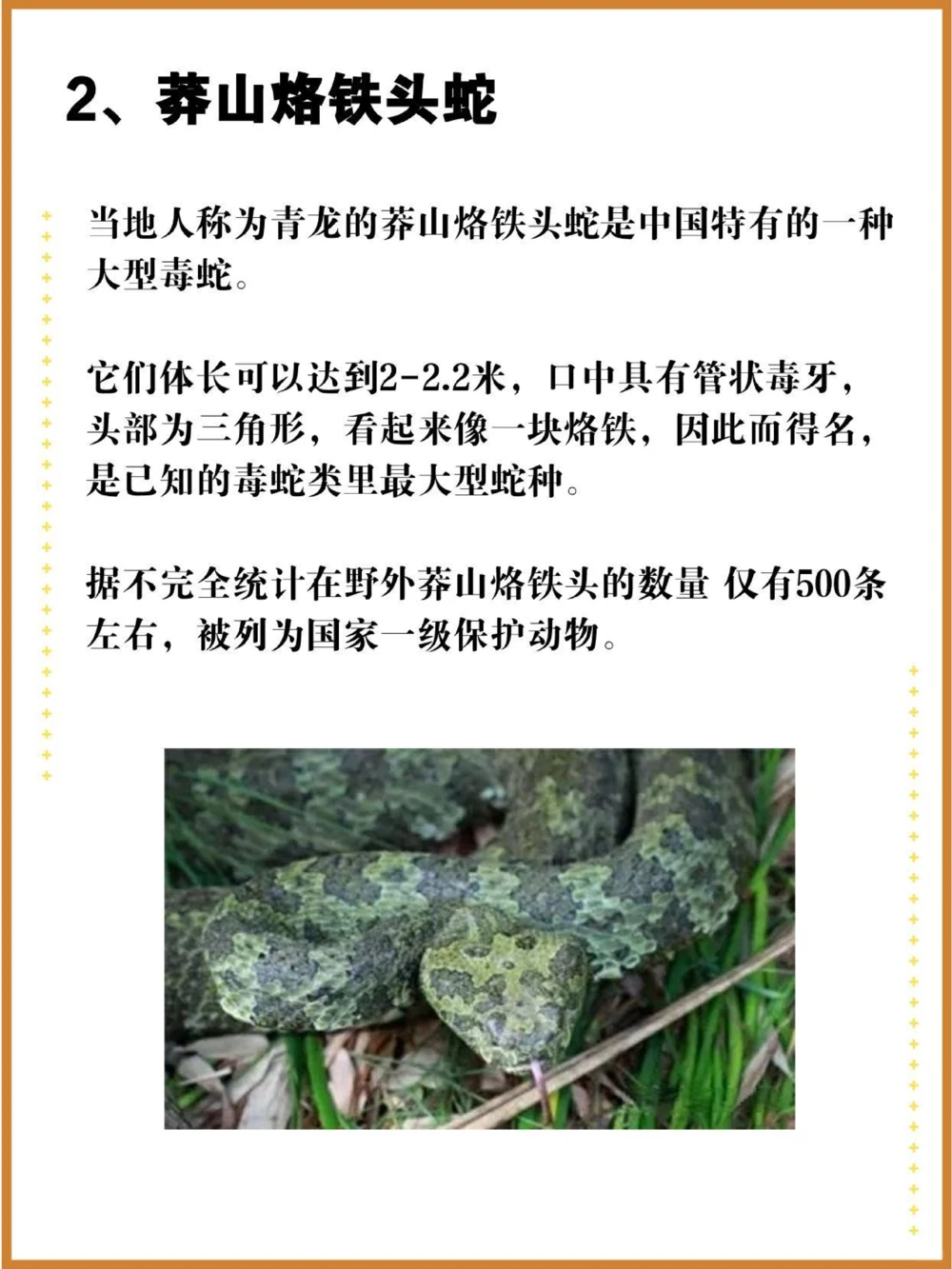 比大熊猫还珍贵的中国特有十大濒危物种！_中小学精品资料(高清可打印)_百科知识大全集312份高清资料整理版