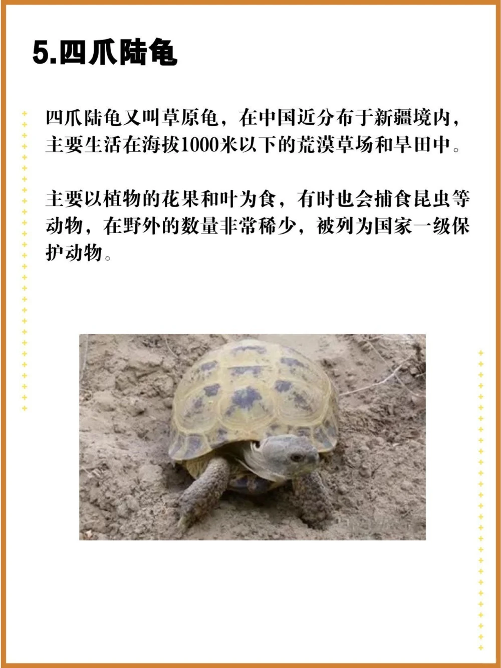 比大熊猫还珍贵的中国特有十大濒危物种！_中小学精品资料(高清可打印)_百科知识大全集312份高清资料整理版