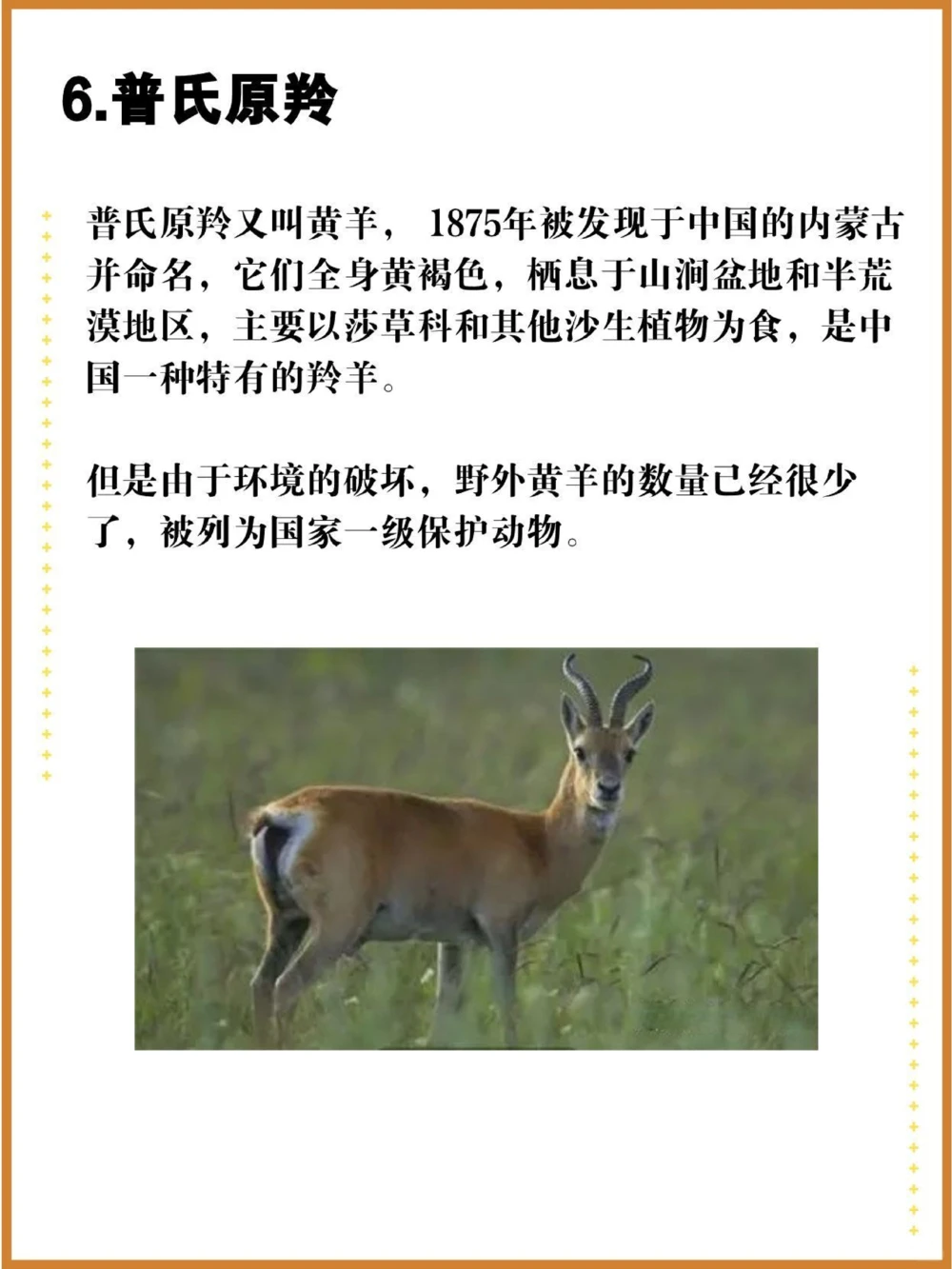 比大熊猫还珍贵的中国特有十大濒危物种！_中小学精品资料(高清可打印)_百科知识大全集312份高清资料整理版