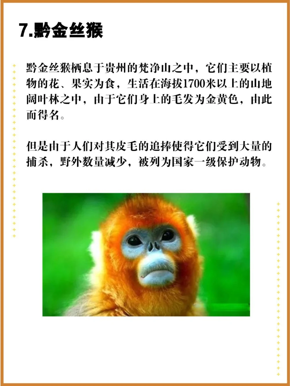 比大熊猫还珍贵的中国特有十大濒危物种！_中小学精品资料(高清可打印)_百科知识大全集312份高清资料整理版