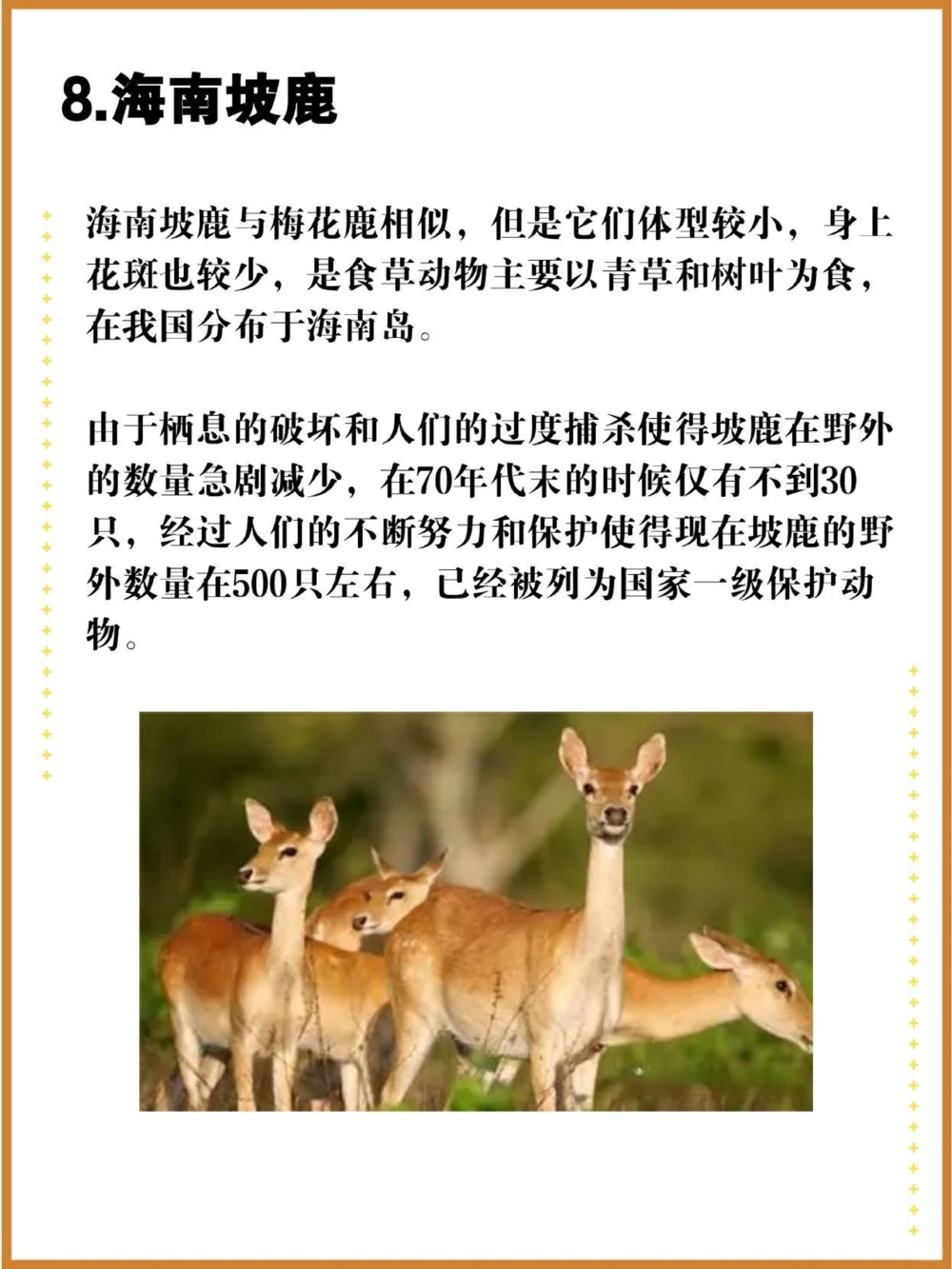 比大熊猫还珍贵的中国特有十大濒危物种！_中小学精品资料(高清可打印)_百科知识大全集312份高清资料整理版