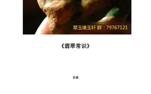 &mdash;&mdash;翡翠常识_X018-玉石珠宝鉴定教程最新合集_6、翡翠鉴定专题全套课程_翡翠电子书_翡翠鉴赏_41-50