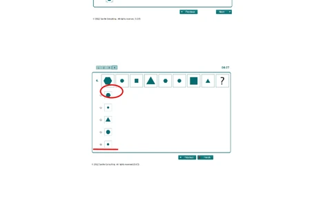 2013SC-Logic2-渣打笔试题目（16道）_2025春招题库汇总_十大行测题库_2023年十大热门题库更新中_05、TalentQ汇总_TalentQ测试题（适合大多数外资银行以及其他企业）_1必看Logical题（约100道）