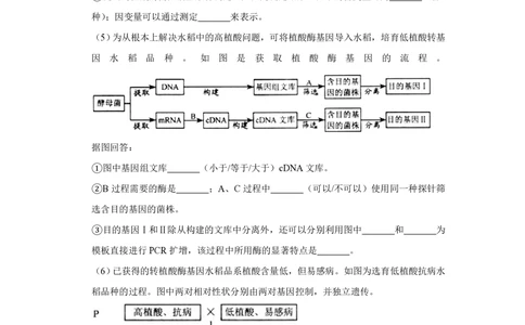 2009年高考生物试卷（天津）（空白卷）_生物历年高考真题_新&middot;PDF版2008-2025&middot;高考生物真题_生物（按试卷类型分类）2008-2025_自主命题卷&middot;生物（2008-2025）_天津自主命题&middot;生物（2008-2024）