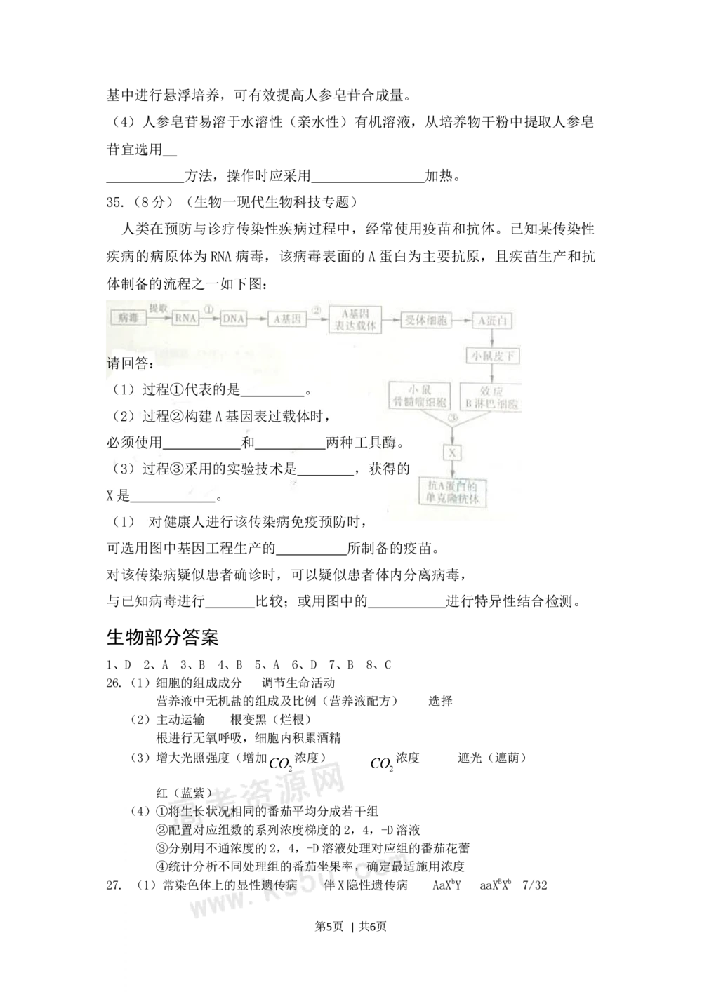 2009年高考生物试卷（山东）（解析卷）_生物历年高考真题_新&middot;Word版2008-2025&middot;高考生物真题_生物（按试卷类型分类）2008-2025_自主命题卷&middot;生物（2008-2025）