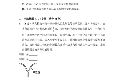 2010年高考生物试卷（全国卷Ⅰ）（空白卷）_生物历年高考真题_新&middot;PDF版2008-2025&middot;高考生物真题_生物（按省份分类）2008-2025_2008-2025&middot;（湖北）生物高考真题