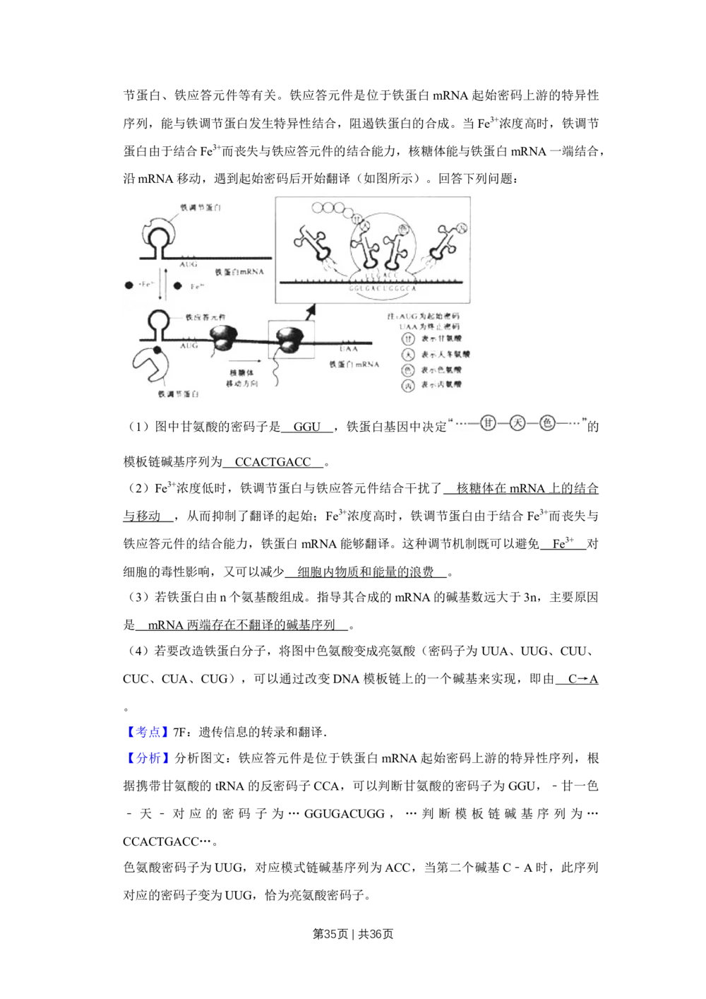 2010年高考生物试卷（江苏）（解析卷）_生物历年高考真题_新&middot;Word版2008-2025&middot;高考生物真题_生物（按试卷类型分类）2008-2025_自主命题卷&middot;生物（2008-2025）_江苏自主命题&middot;生物（2008-2025）