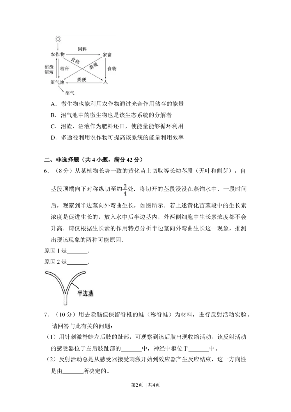 2010年高考生物试卷（全国卷Ⅰ）（空白卷）_生物历年高考真题_新&middot;Word版2008-2025&middot;高考生物真题_生物（按省份分类）2008-2025_2008-2025&middot;（湖北）生物高考真题