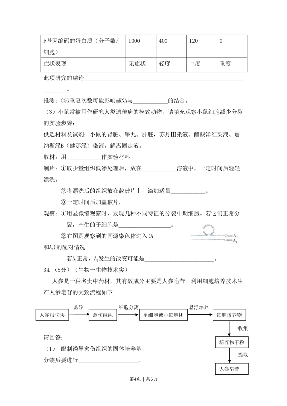 2009年高考生物试卷（山东）（空白卷）_生物历年高考真题_新&middot;PDF版2008-2025&middot;高考生物真题_生物（按试卷类型分类）2008-2025_自主命题卷&middot;生物（2008-2025）
