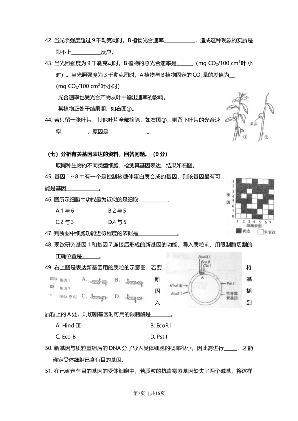 2010年高考生物试卷（上海）（解析卷）_生物历年高考真题_新&middot;Word版2008-2025&middot;高考生物真题_生物（按省份分类）2008-2025_2008-2022&middot;（上海）生物高考真题