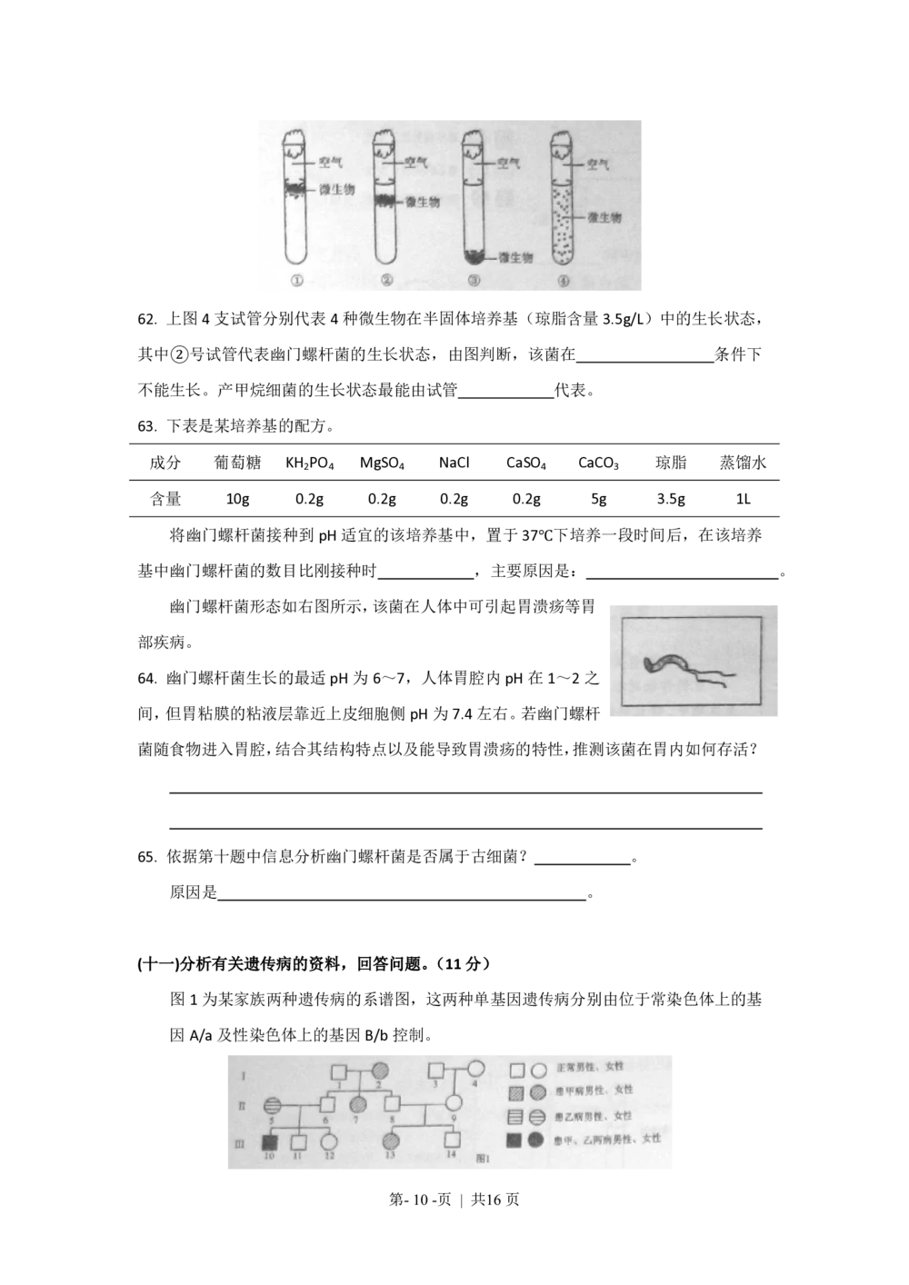 2010年高考生物试卷（上海）（解析卷）_生物历年高考真题_新&middot;PDF版2008-2025&middot;高考生物真题_生物（按年份分类）2008-2025_2010&middot;高考生物真题