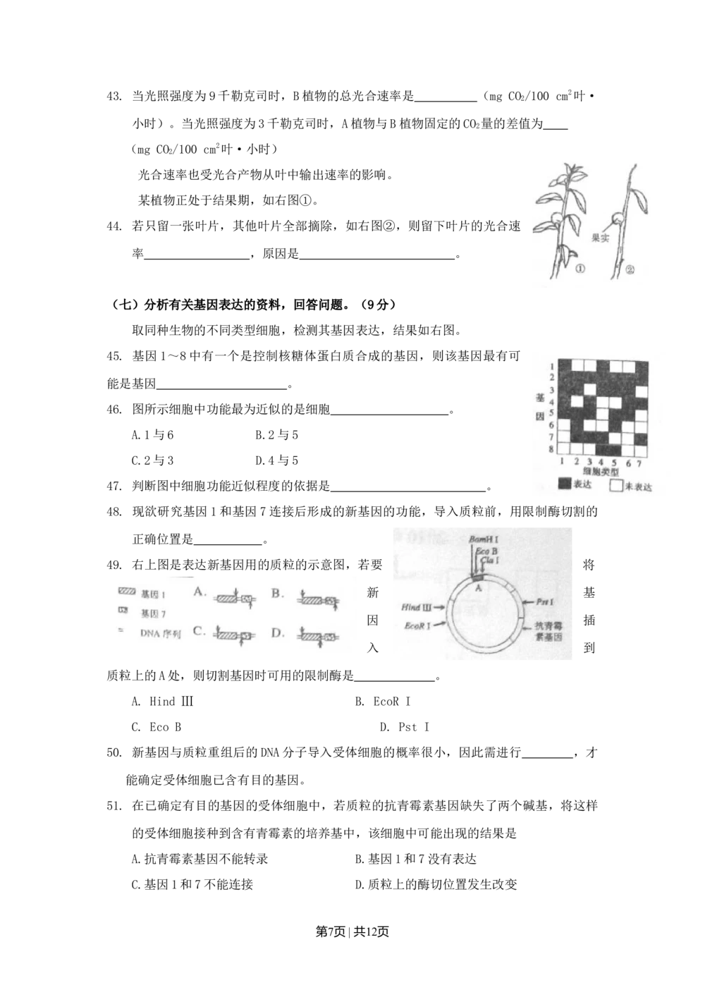 2010年高考生物试卷（上海）（空白卷）_生物历年高考真题_新&middot;Word版2008-2025&middot;高考生物真题_生物（按试卷类型分类）2008-2025_自主命题卷&middot;生物（2008-2025）_上海自主命题&middot;生物（2008-2022）