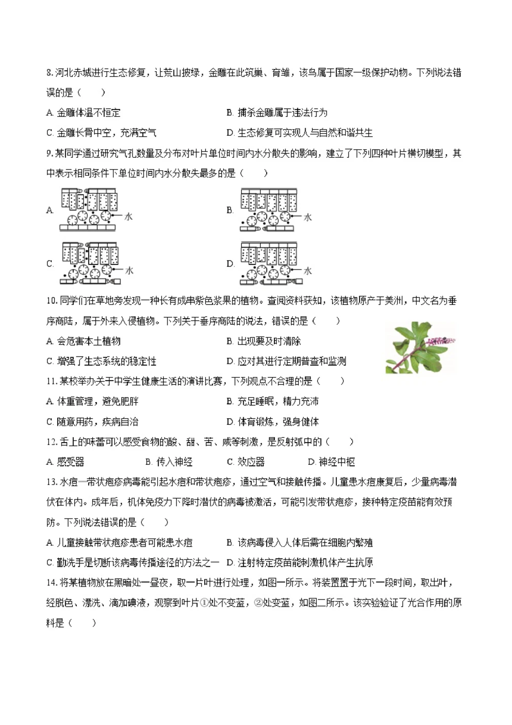 2025年河北省中考生物试卷（空白卷）_河北省历年中考真题_6.河北生物（22-25）缺23_54