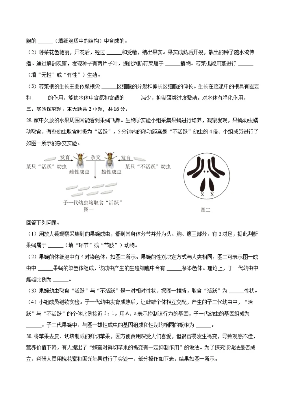 2025年河北省中考生物试卷（空白卷）_河北省历年中考真题_6.河北生物（22-25）缺23_54