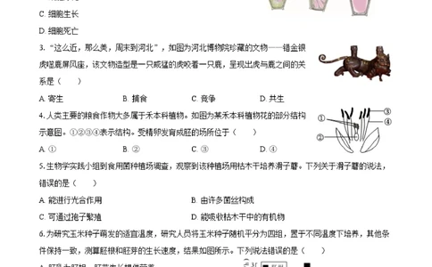 2025年河北省中考生物试卷（空白卷）_河北省历年中考真题_6.河北生物（22-25）缺23_54