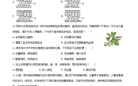 2025年河北省中考生物试卷（空白卷）_河北省历年中考真题_6.河北生物（22-25）缺23_54