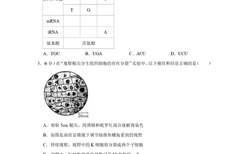 2010年高考生物试卷（天津）（空白卷）_生物历年高考真题_新&middot;PDF版2008-2025&middot;高考生物真题_生物（按年份分类）2008-2025_2010&middot;高考生物真题