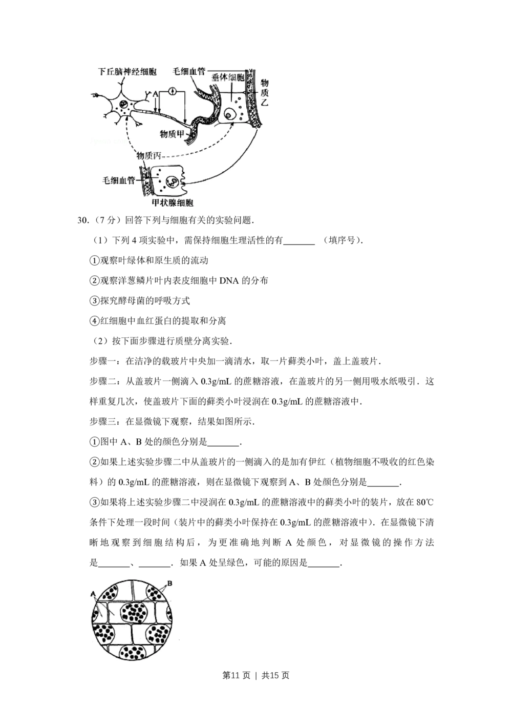 2009年高考生物试卷（江苏）（空白卷）_生物历年高考真题_新&middot;PDF版2008-2025&middot;高考生物真题_生物（按年份分类）2008-2025_2009&middot;高考生物真题