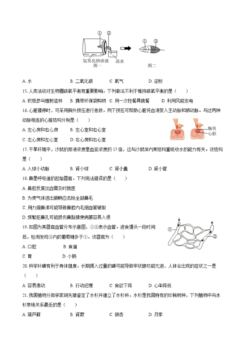2025年河北省中考生物试卷（空白卷）_河北省历年中考真题_6.河北生物（22-25）缺23