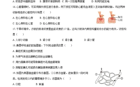 2025年河北省中考生物试卷（空白卷）_河北省历年中考真题_6.河北生物（22-25）缺23
