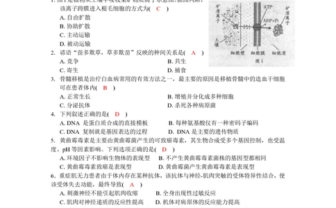 2010年高考生物试卷（广东）（解析卷）_生物历年高考真题_新&middot;PDF版2008-2025&middot;高考生物真题_生物（按试卷类型分类）2008-2025_自主命题卷&middot;生物（2008-2025）