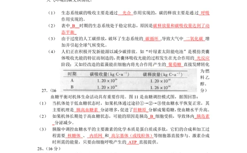 2010年高考生物试卷（广东）（解析卷）_生物历年高考真题_新&middot;PDF版2008-2025&middot;高考生物真题_生物（按试卷类型分类）2008-2025_自主命题卷&middot;生物（2008-2025）