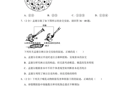 2009年高考生物试卷（江苏）（空白卷）_生物历年高考真题_新&middot;PDF版2008-2025&middot;高考生物真题_生物（按试卷类型分类）2008-2025_自主命题卷&middot;生物（2008-2025）_江苏自主命题&middot;生物（2008-2025）