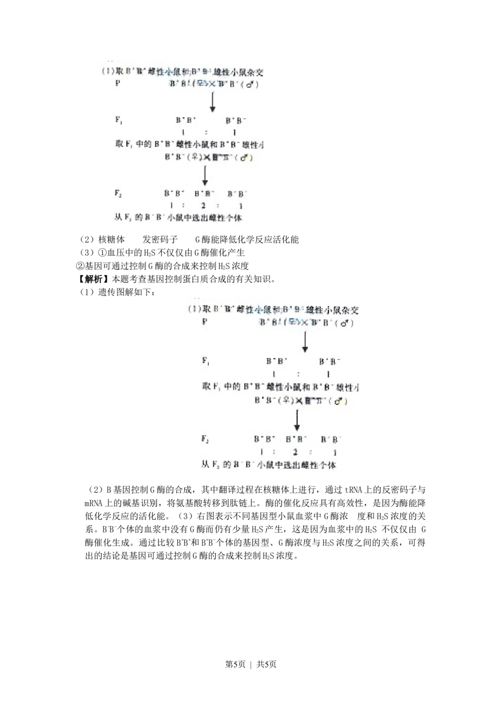 2009年高考生物试卷（浙江）（解析卷）_生物历年高考真题_新&middot;Word版2008-2025&middot;高考生物真题_生物（按试卷类型分类）2008-2025_自主命题卷&middot;生物（2008-2025）_浙江自主命题&middot;生物（2008-2025）