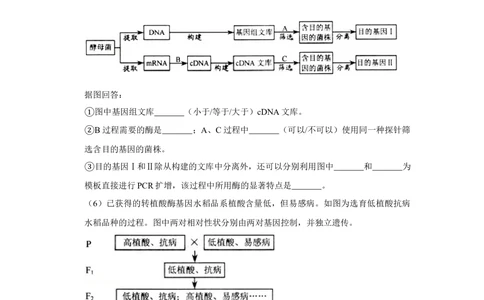 2009年高考生物试卷（天津）（空白卷）_生物历年高考真题_新&middot;Word版2008-2025&middot;高考生物真题_生物（按试卷类型分类）2008-2025_自主命题卷&middot;生物（2008-2025）_天津自主命题&middot;生物（2008-2024）