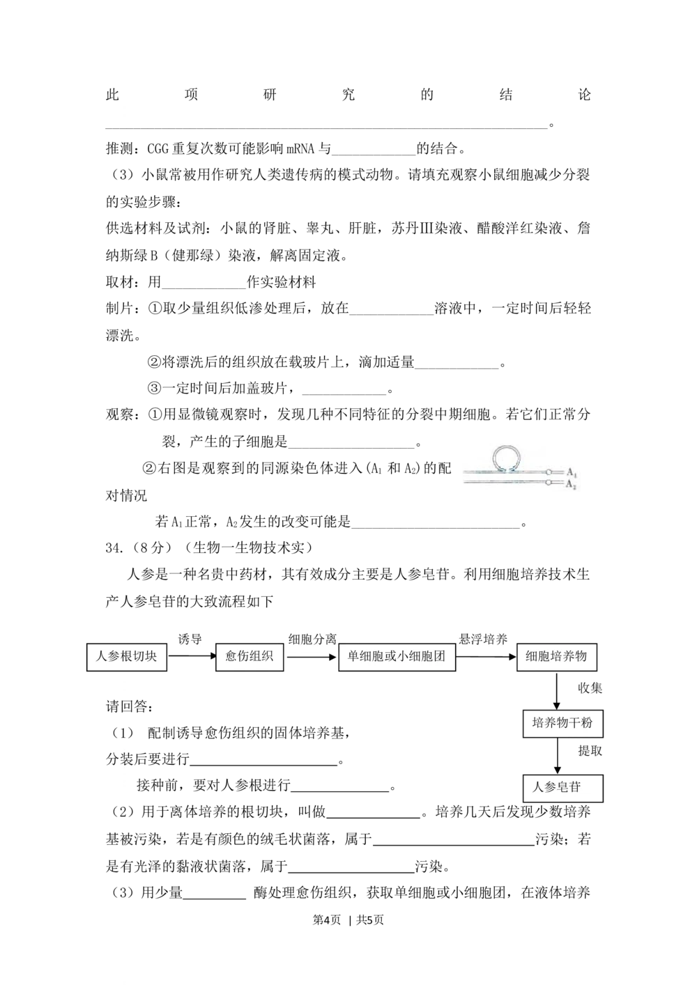 2009年高考生物试卷（山东）（空白卷）_生物历年高考真题_新&middot;Word版2008-2025&middot;高考生物真题_生物（按省份分类）2008-2025_2008-2025&middot;（山东）生物高考真题