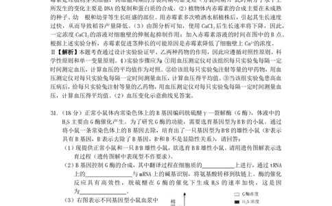2009年高考生物试卷（浙江）（解析卷）_生物历年高考真题_新&middot;PDF版2008-2025&middot;高考生物真题_生物（按试卷类型分类）2008-2025_自主命题卷&middot;生物（2008-2025）_浙江自主命题&middot;生物（2008-2025）