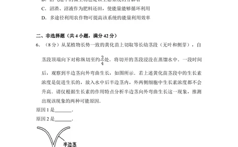 2010年高考生物试卷（全国卷Ⅰ）（空白卷）_生物历年高考真题_新&middot;Word版2008-2025&middot;高考生物真题_生物（按省份分类）2008-2025_2008-2025&middot;（河南）生物高考真题