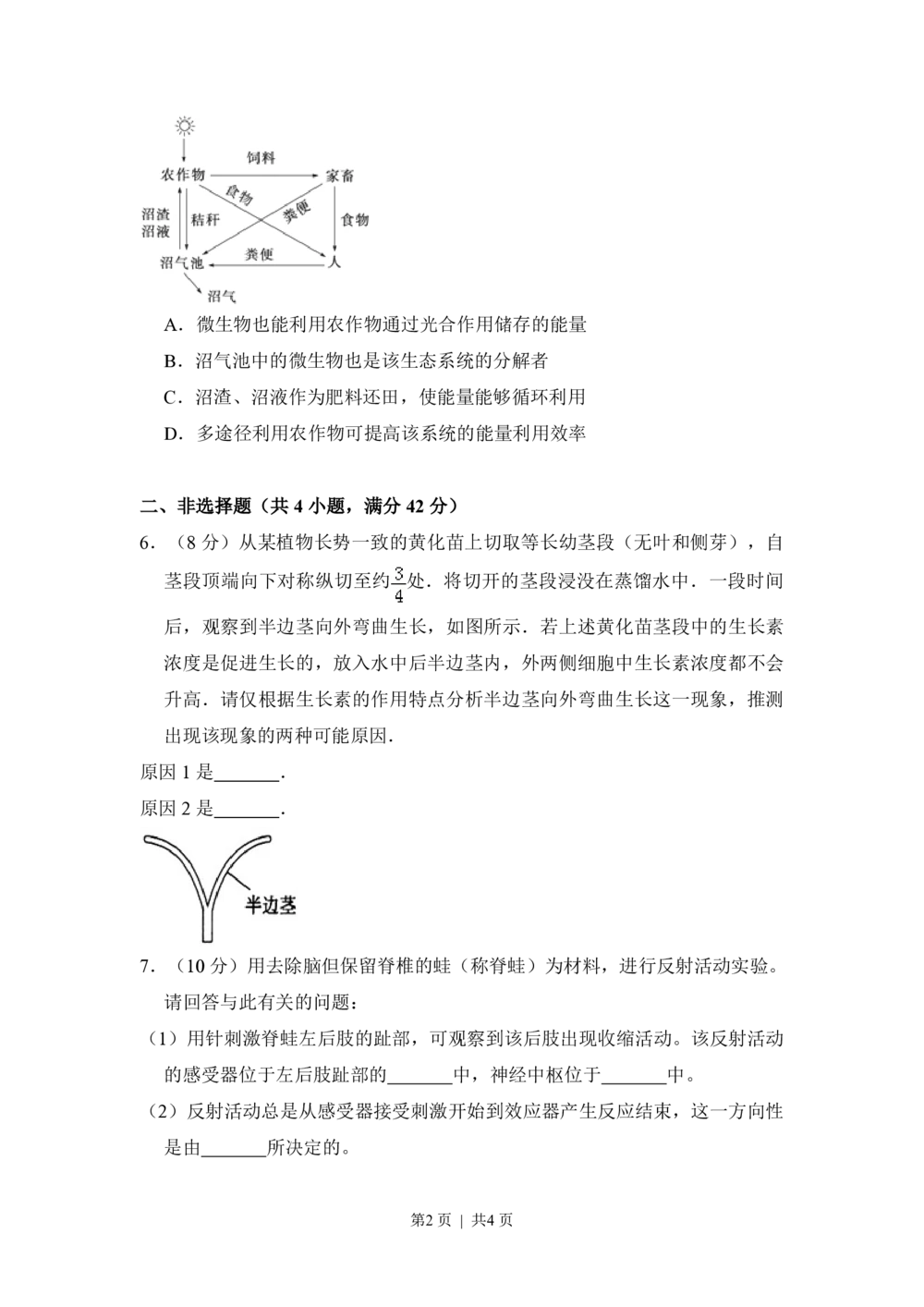 2010年高考生物试卷（全国卷Ⅰ）（空白卷）_生物历年高考真题_新&middot;PDF版2008-2025&middot;高考生物真题_生物（按年份分类）2008-2025_2010&middot;高考生物真题